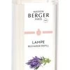 Lampe Berger Huisparfum 1L - Champs De Lavande / Lavender Fields 1 Lampe Berger Huisparfum 1L - Champs De Lavande / Lavender Fields -Begin vandaag nog met het creëren van uw ideale thuis! lampe berger huisparfum 1l champs de lavande lavender fields 250x500 61adeb1966e97 l