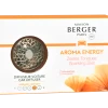 Maison Berger Paris Navullingen Auto Diffuser Energy - Zestes Toniques / Sparkling Zest