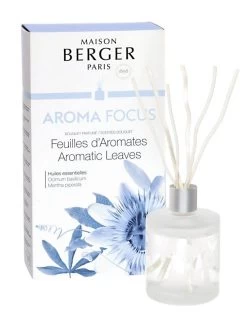 Maison Berger Paris Parfumverspreider Met Sticks 180ml - Aroma Focus - Aromatic Leaves