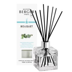 Maison Berger Paris Parfumverspreider Met Sticks Cube 125ml - Fresh Eucalyptus