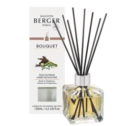 Maison Berger Paris Parfumverspreider Met Sticks Cube 125ml - Sous L'Oliveraie