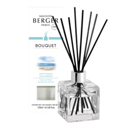 Maison Berger Paris Parfumverspreider Met Sticks Cube 125ml - Vent D'Océan