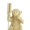 Tafellamp MONKEY Mat Goud - 13 X 12,5 X 23,5 Cm 1 Tafellamp MONKEY Mat Goud - 13 X 12,5 X 23,5 Cm -Begin vandaag nog met het creëren van uw ideale thuis! tafellamp monkey mat goud 13 x 12 5 x 23 5 cm 533x800 61b347bb46fa3 l