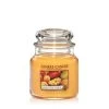 Yankee Candle Mango Peach Salsa Medium Jar -Begin vandaag nog met het creëren van uw ideale thuis! yankee candle mango peach salsa medium jar 575x465 61d4543a27486 l